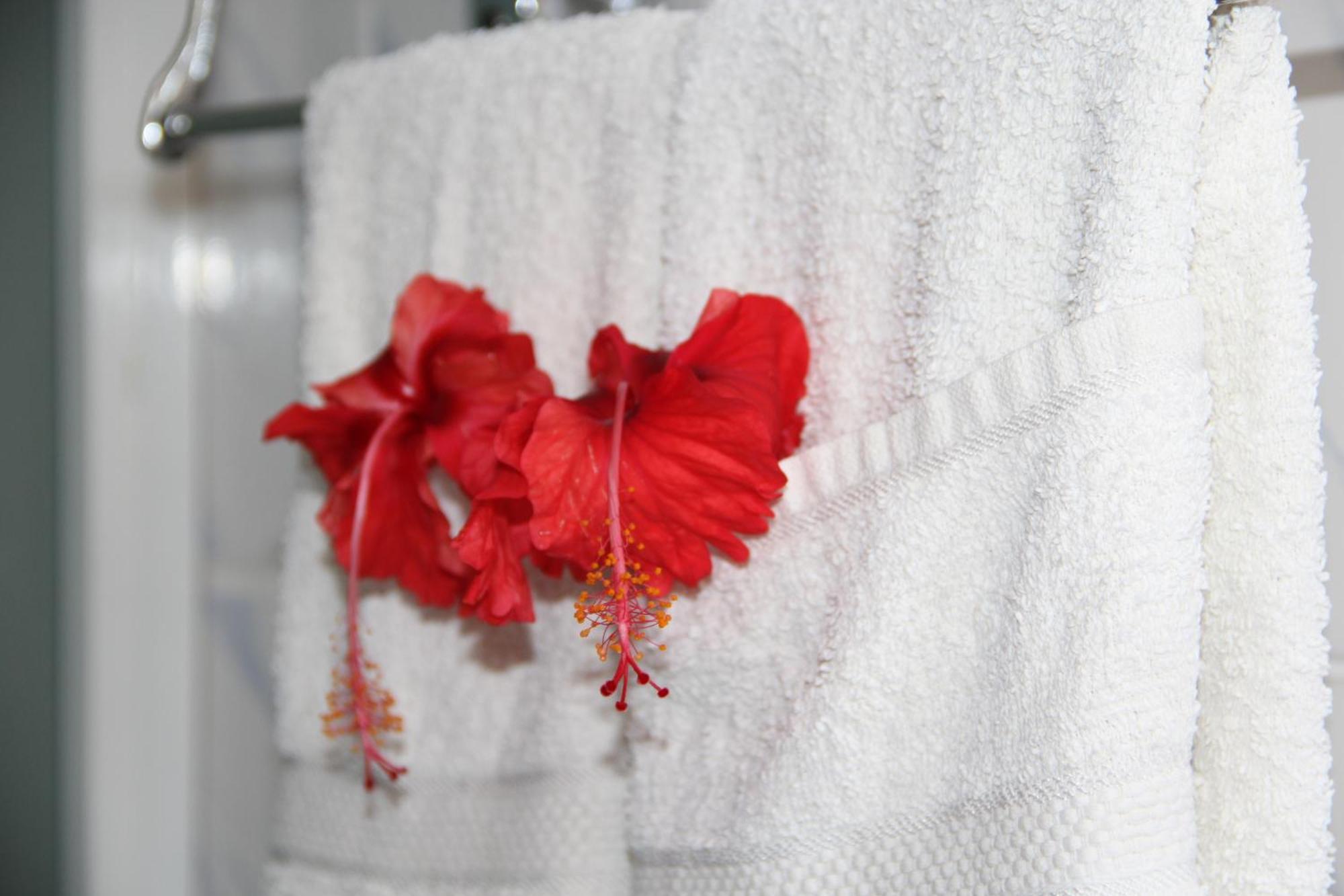Belle Des Iles Bed & Breakfast La Digue Room photo