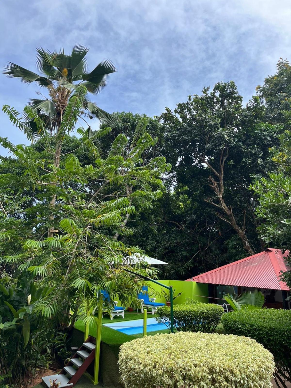 Belle Des Iles Bed & Breakfast La Digue Exterior photo